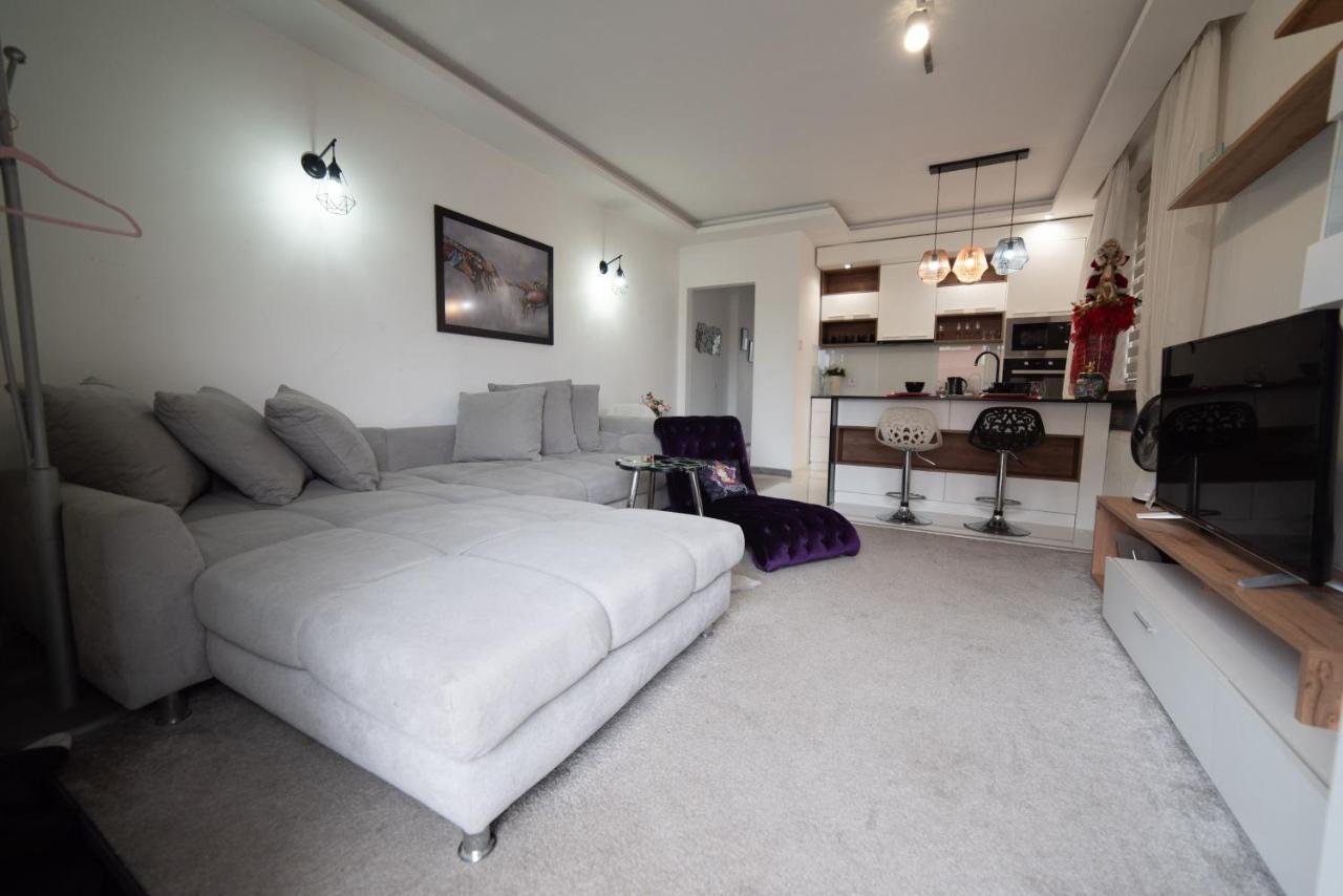 Apartament Jelenar Nowy Sad Zewnętrze zdjęcie